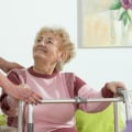What is the tsai theory of caregiver stress?
