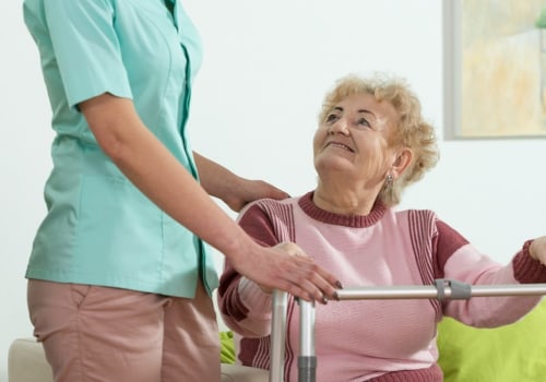 What is the tsai theory of caregiver stress?